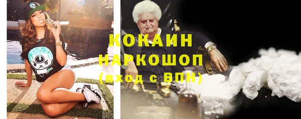 apvp Магас