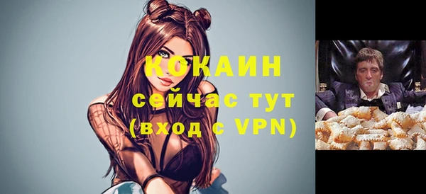 apvp Магас