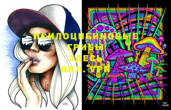 apvp Магас