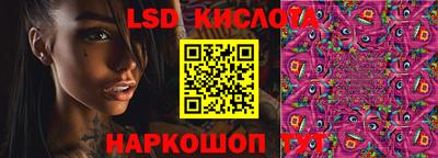 гашик Донецк