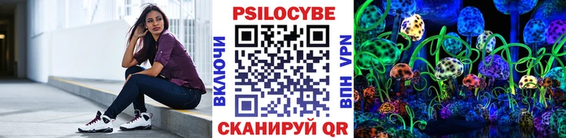 даркнет сайт  Балашов  Галлюциногенные грибы Cubensis 