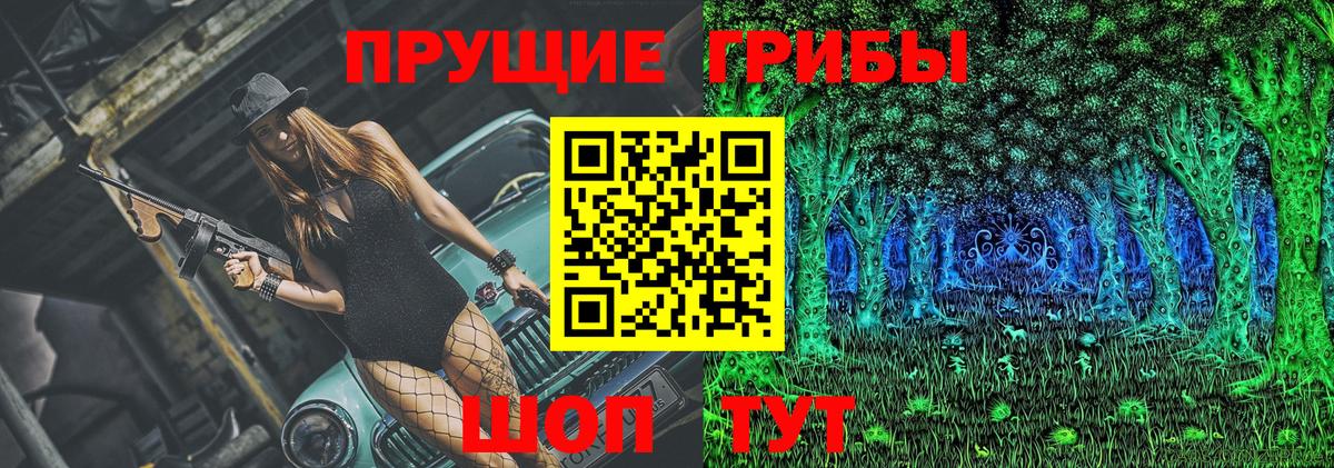 Балашов  Галлюциногенные грибы Cubensis  Вход с VPN 